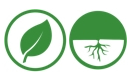 Aplicacin foliar y radicular