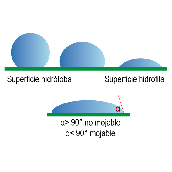 Angle de contact de la goutte avec la surface de la feuille