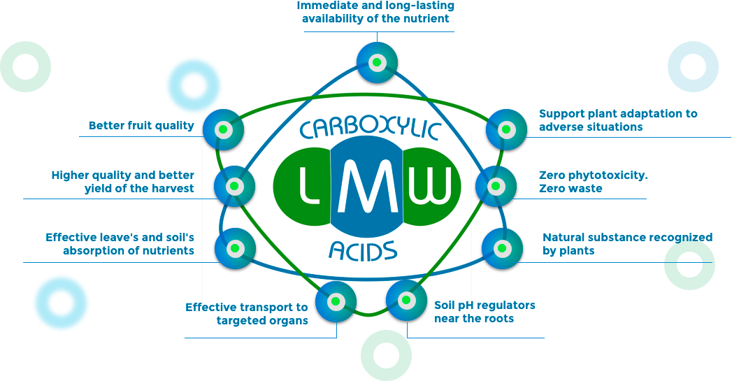 Advantages of fertilizers based on low molecular weight carboxylic acids (organic): higher quality of the fruit, higher yield of harvest, transport of nutrients in the plant.